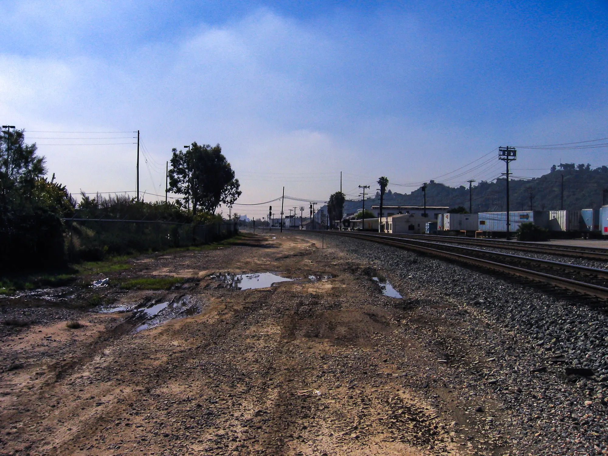 LA River islands, 2006