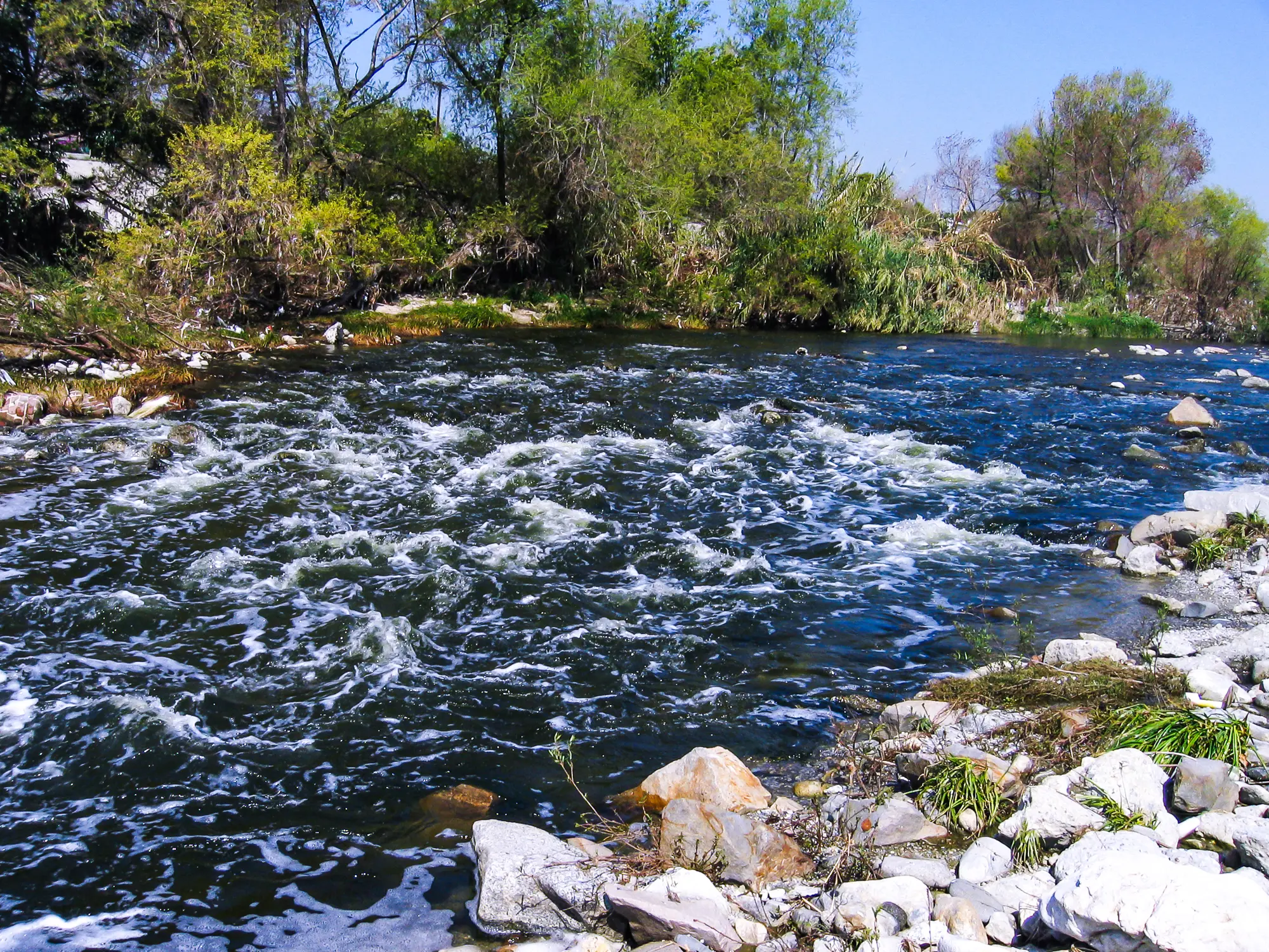 LA River islands